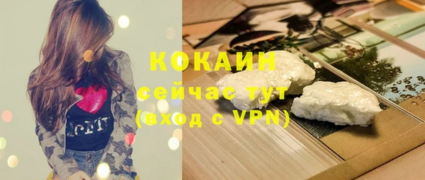 apvp Осинники