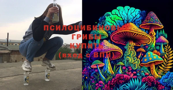 не бодяженный Няндома