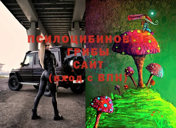apvp Осинники