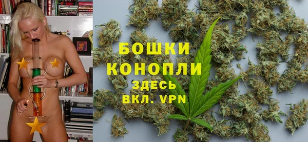 apvp Осинники