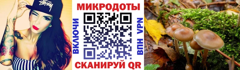 Галлюциногенные грибы Magic Shrooms  Ликино-Дулёво 